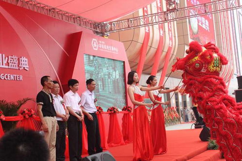 新鄉禮儀、模特與翻譯服務綜合指南